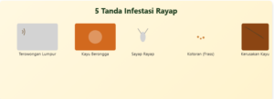 Infestasi Rayap